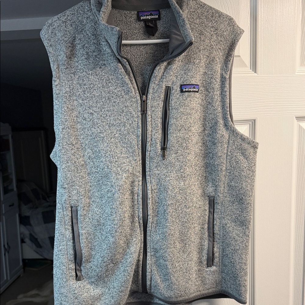 Patagonia Gray Vest